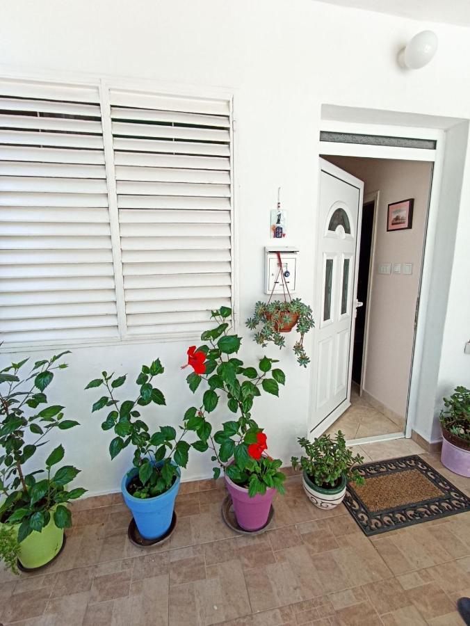 Kiwi Apartments Budva Exterior foto